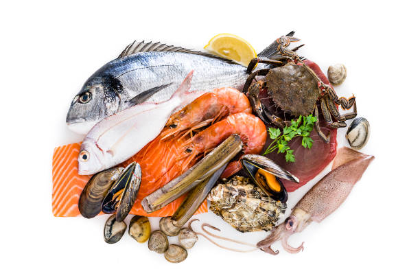 seafood