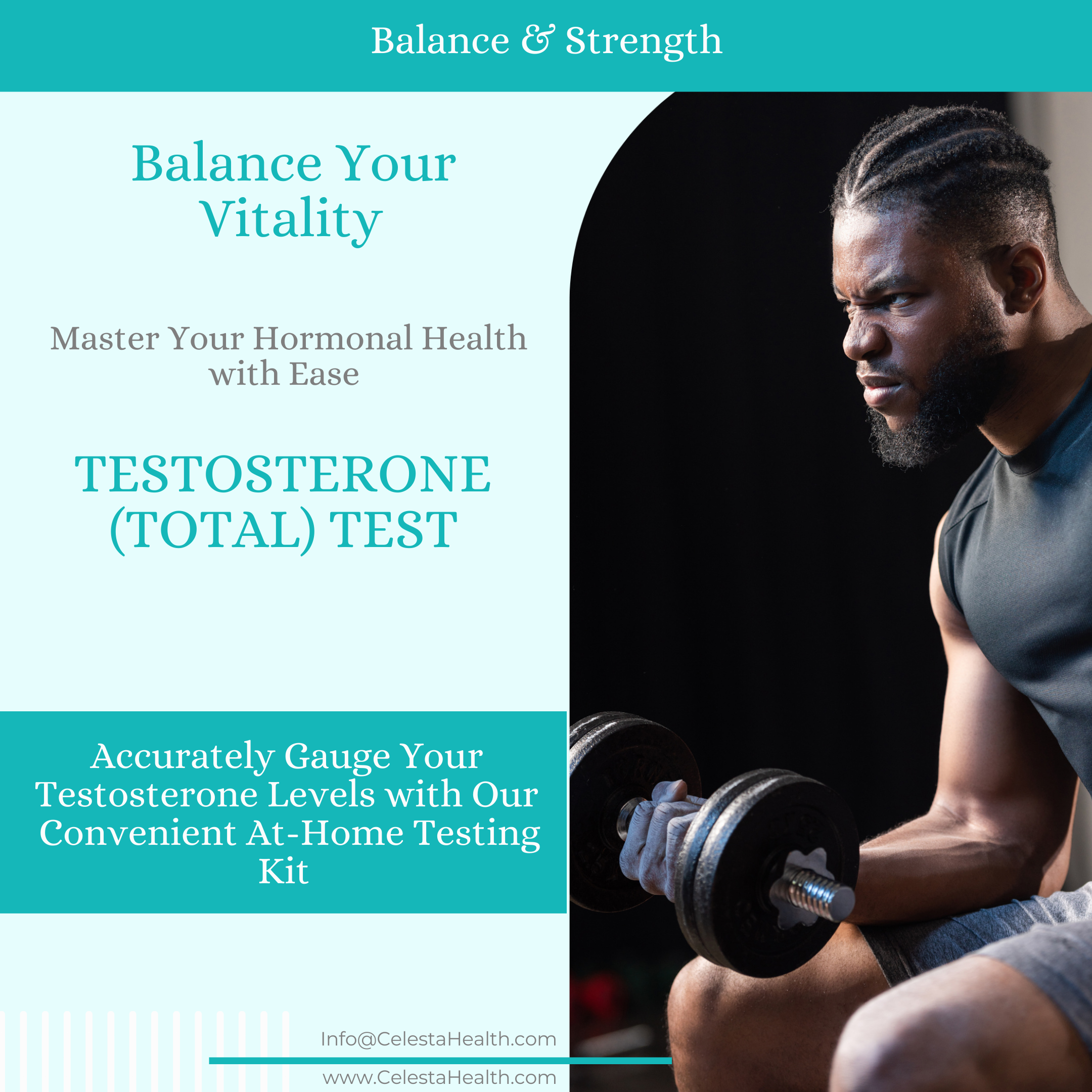 Testosterone (Total) Test
